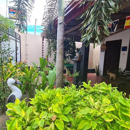 Kavidi Villa Home Stay Tangalle Exterior photo